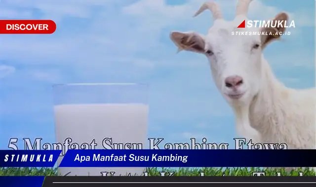 apa manfaat susu kambing