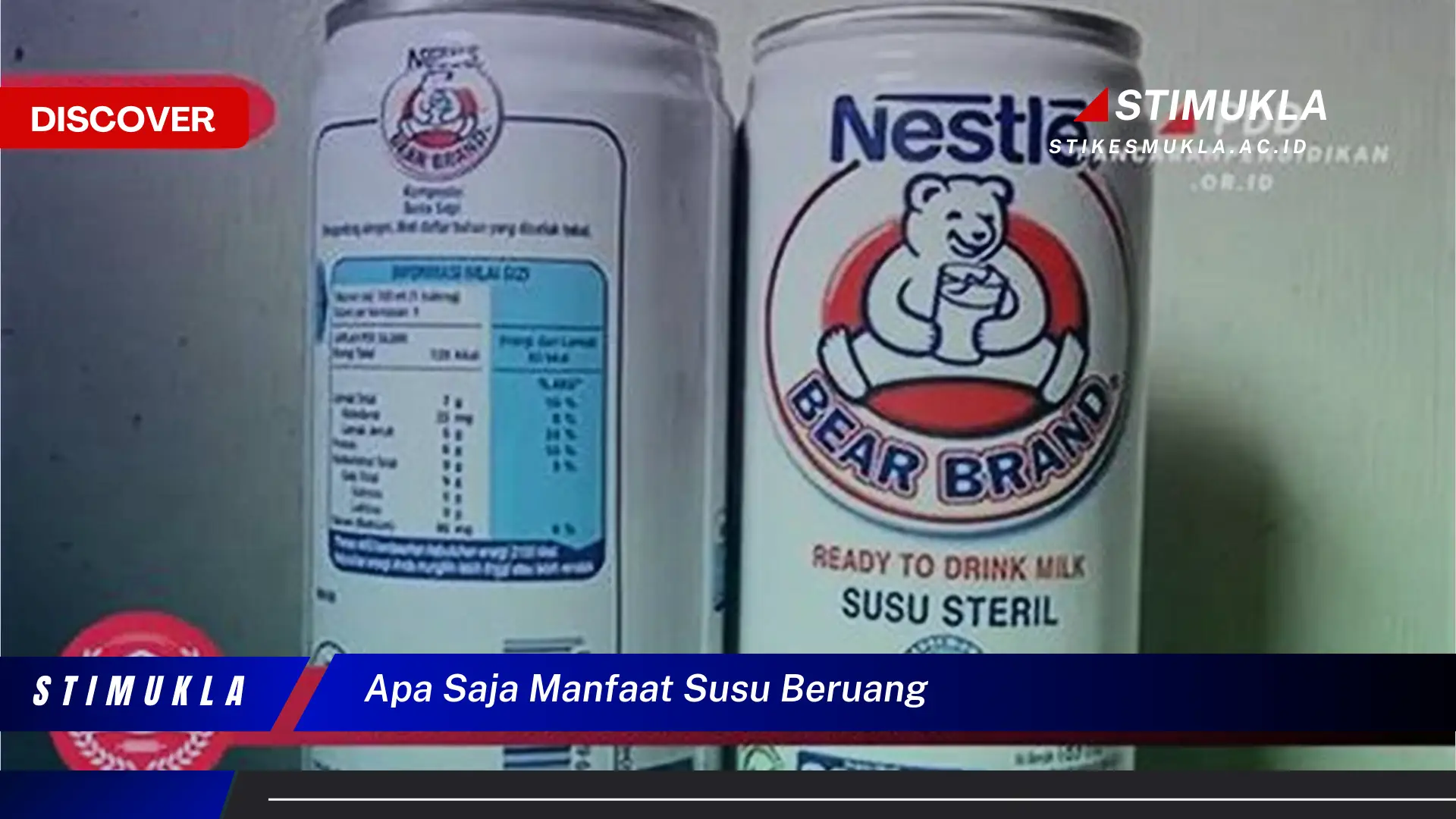 apa saja manfaat susu beruang