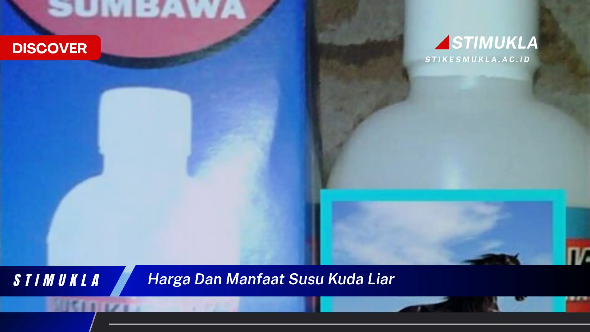 harga dan manfaat susu kuda liar