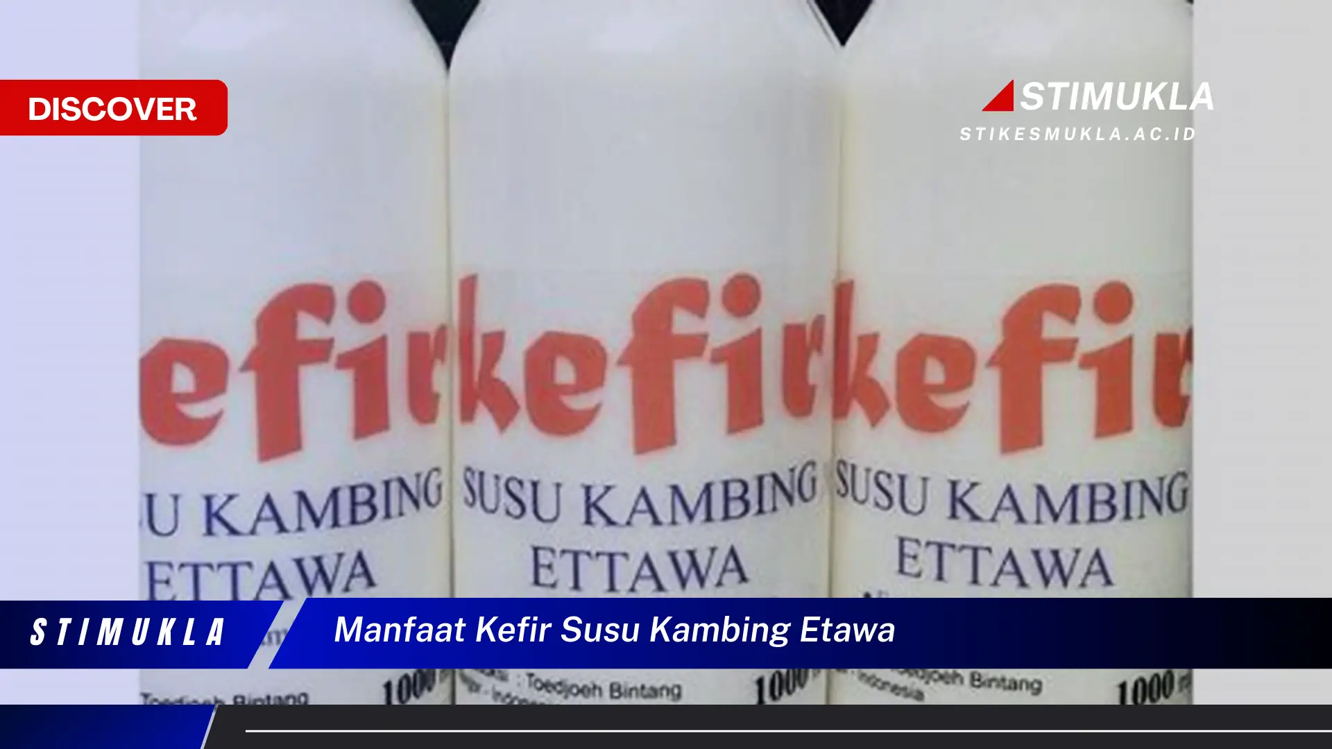 manfaat kefir susu kambing etawa