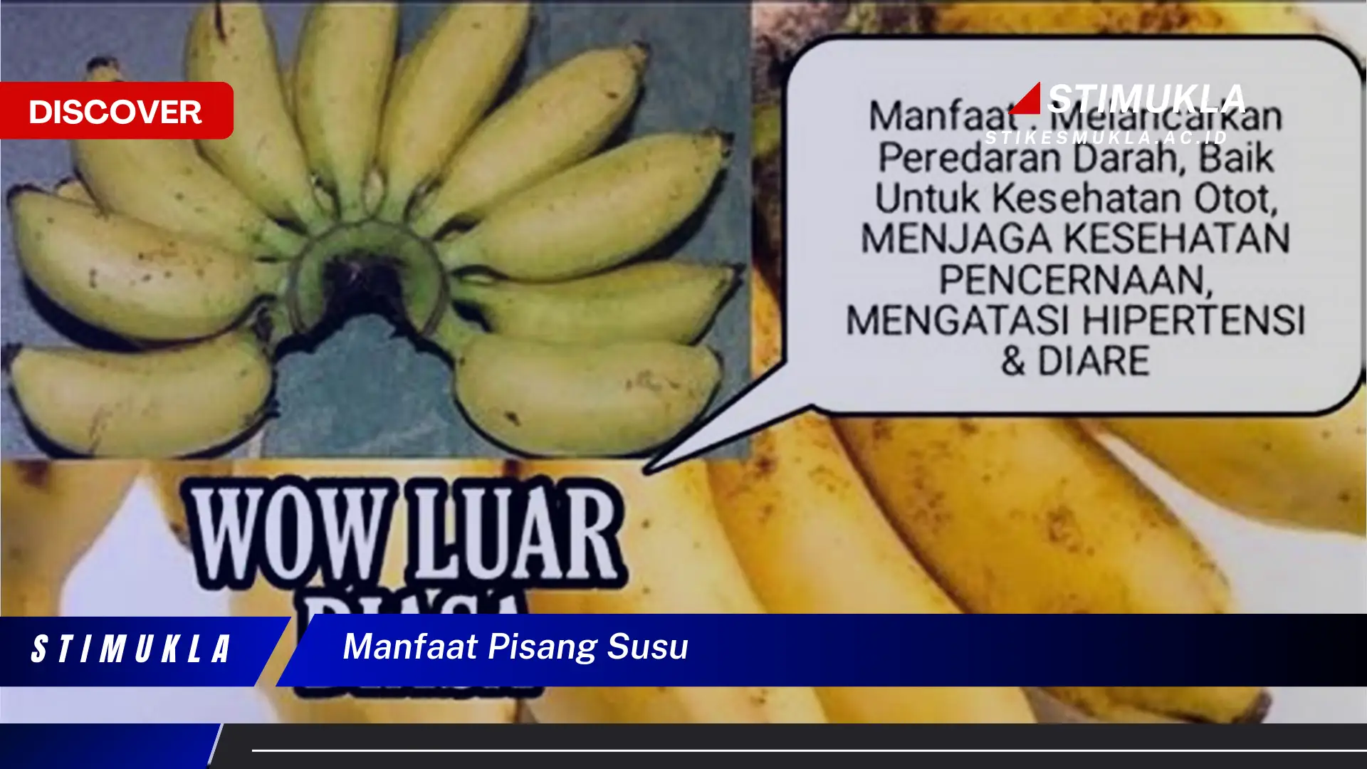 manfaat pisang susu