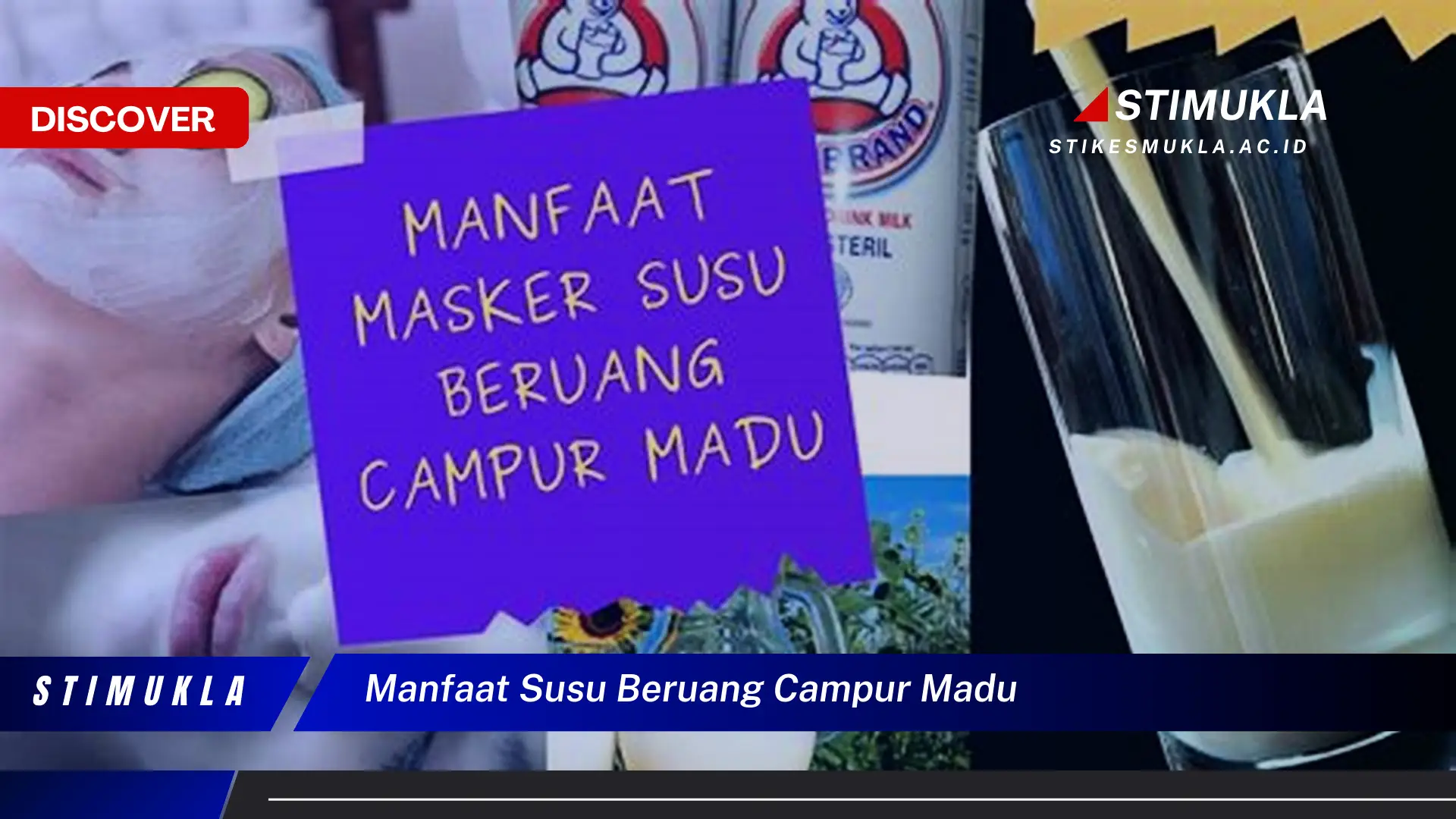manfaat susu beruang campur madu manfaat susu beruang campur madu