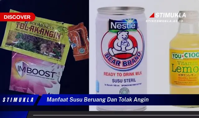 manfaat susu beruang dan tolak angin