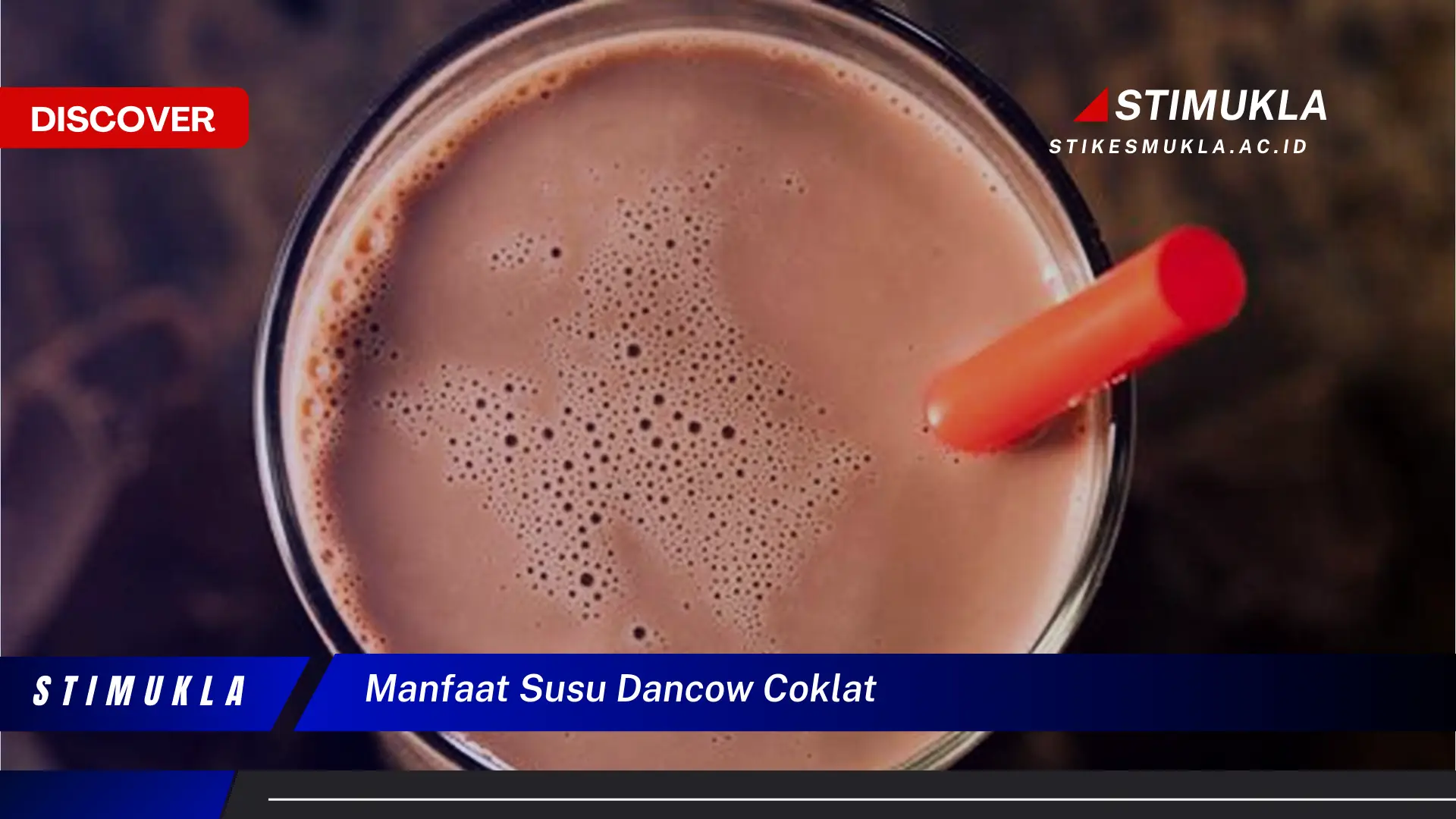 manfaat susu dancow coklat
