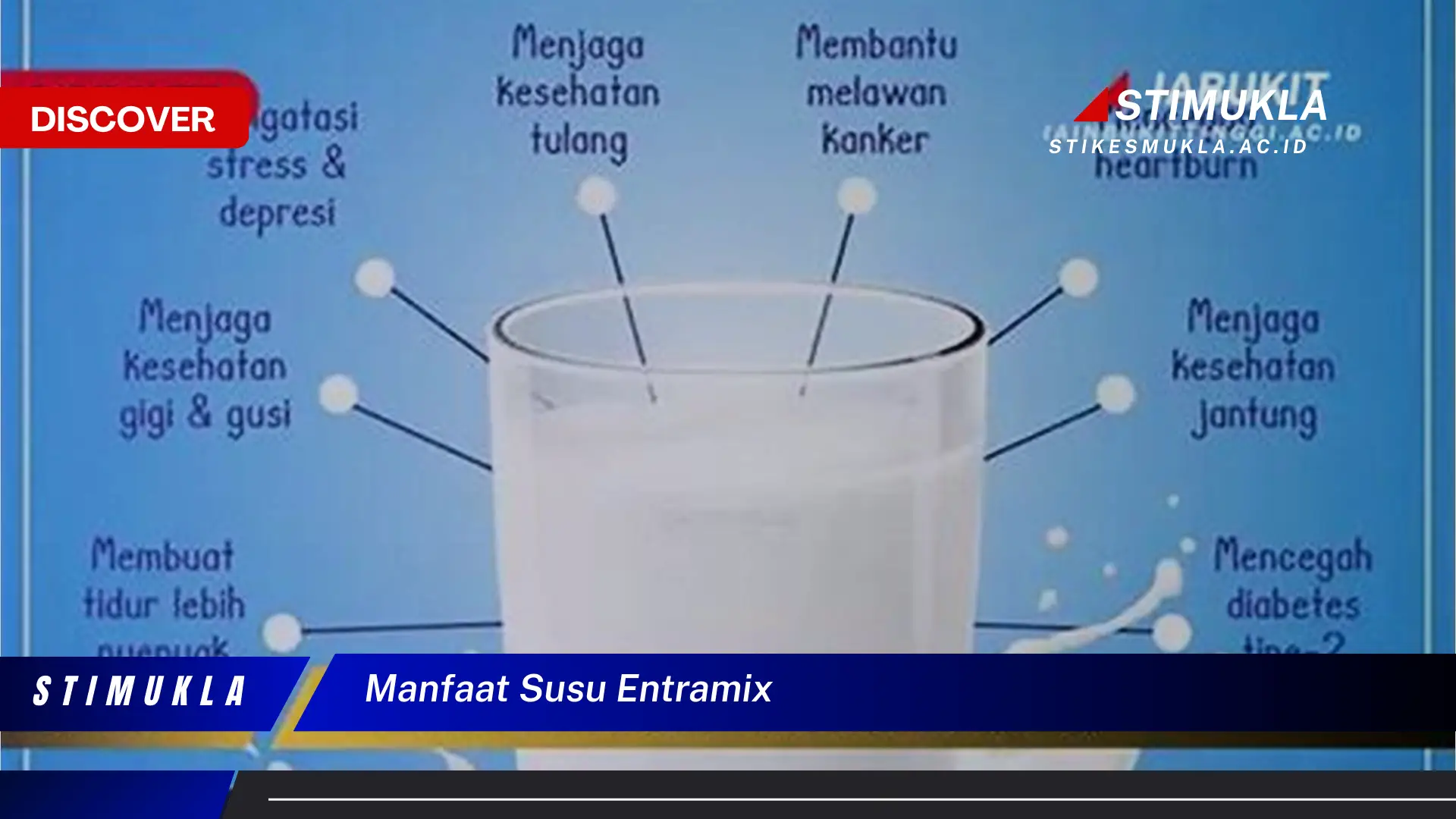 manfaat susu entramix