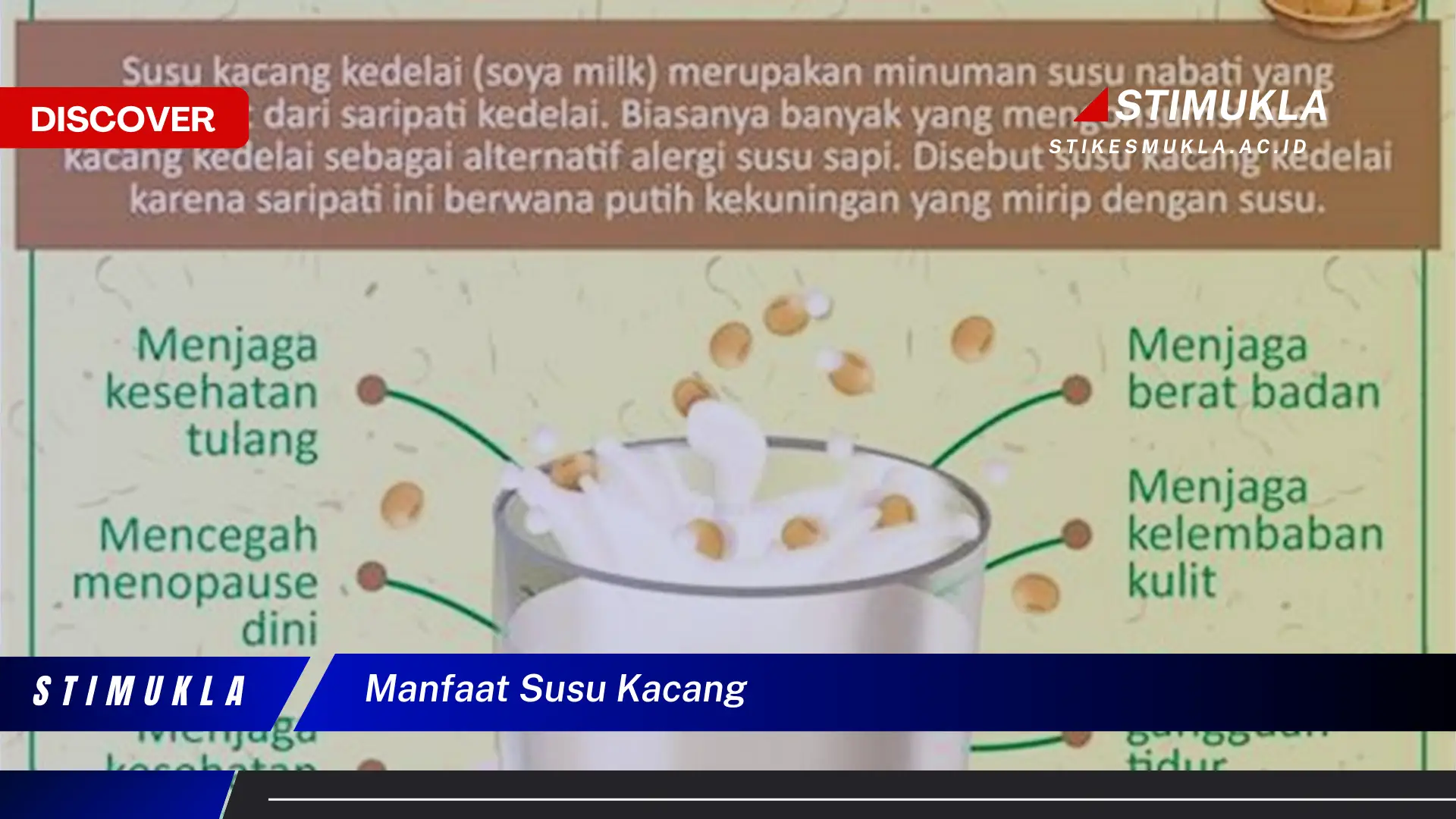 manfaat susu kacang