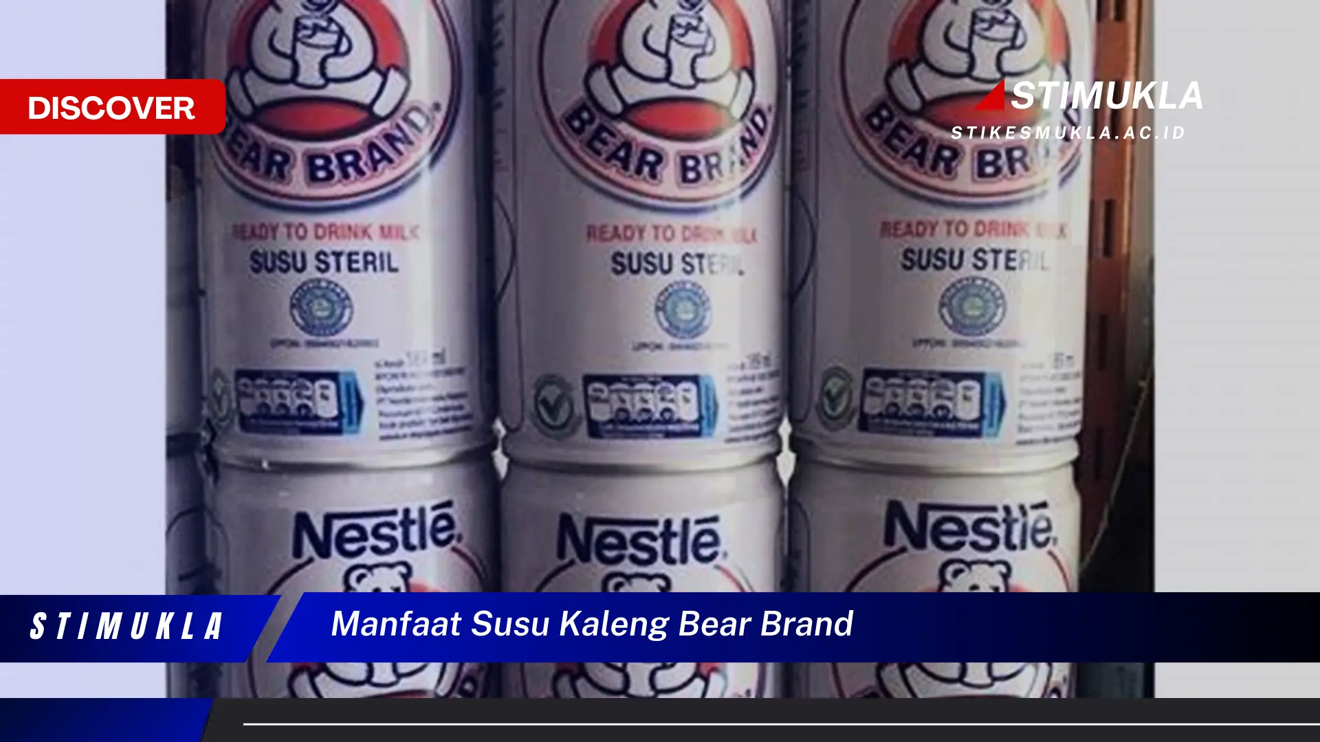 manfaat susu kaleng bear brand