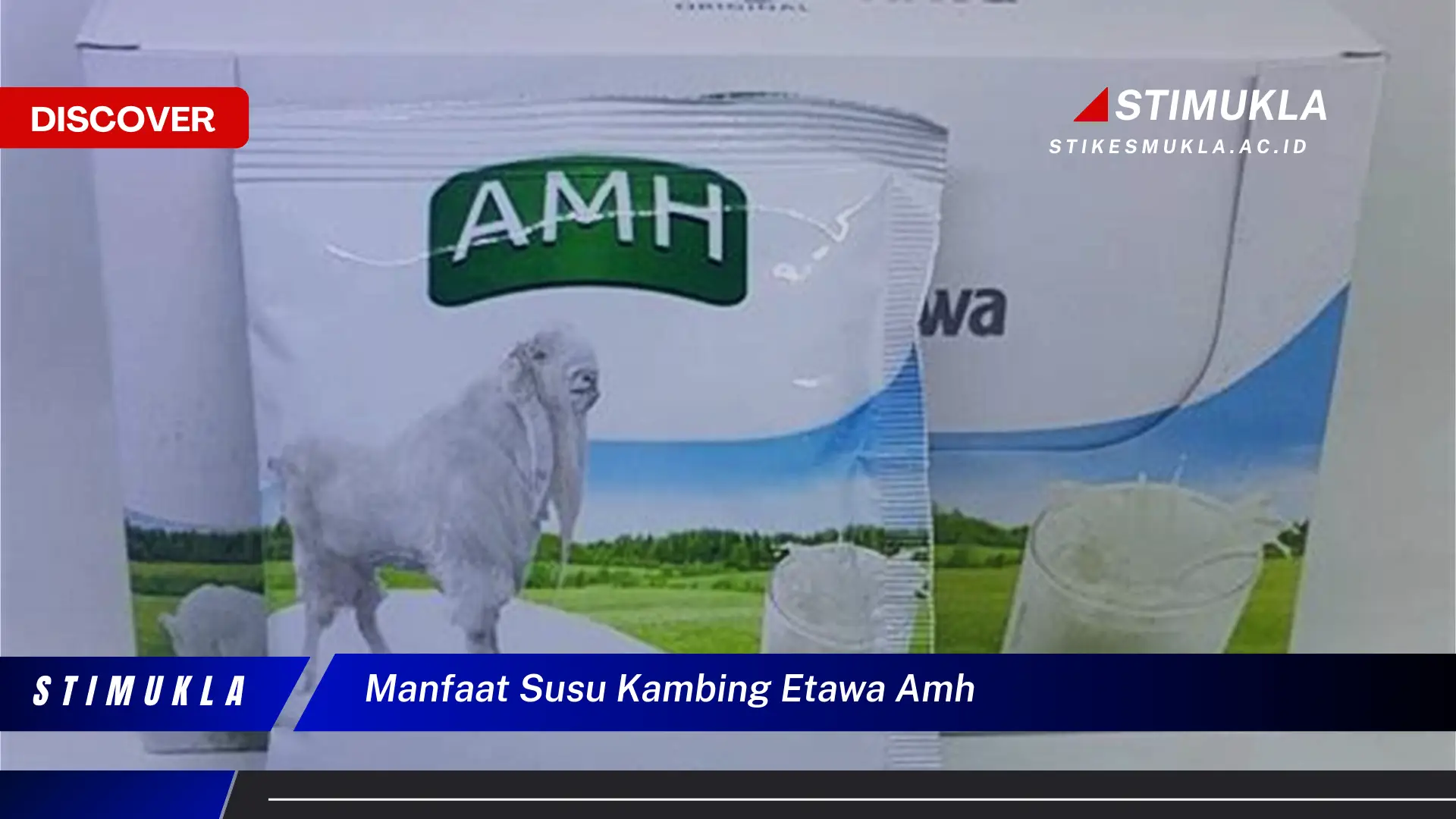 manfaat susu kambing etawa amh
