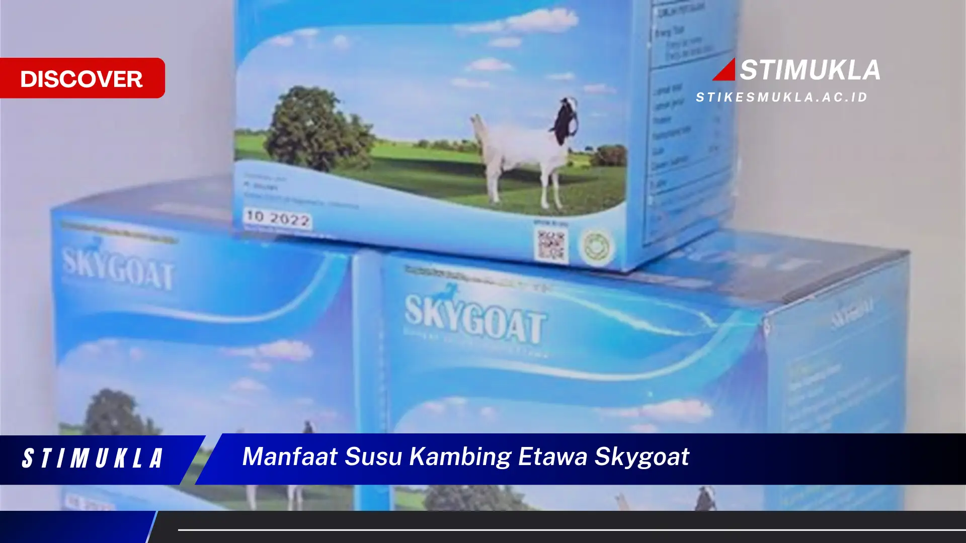 manfaat susu kambing etawa skygoat