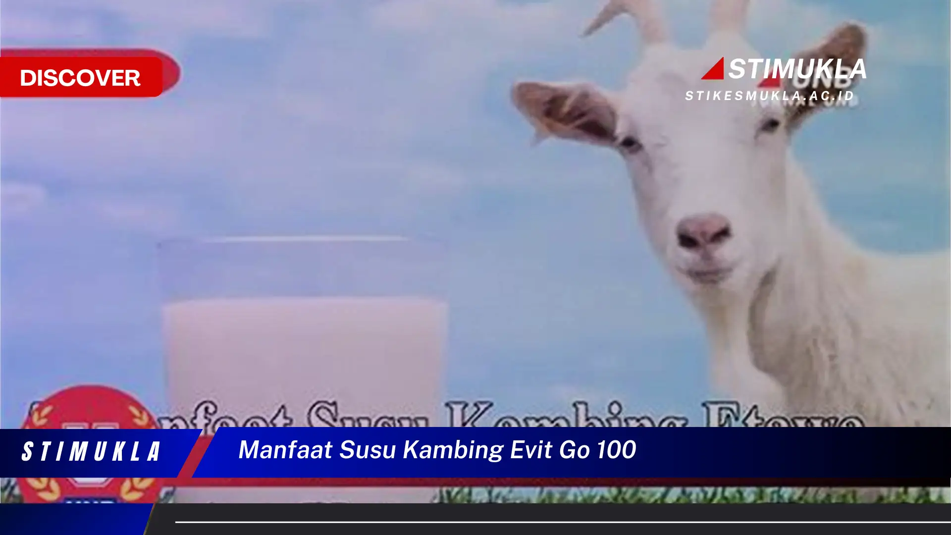 manfaat susu kambing evit go 100