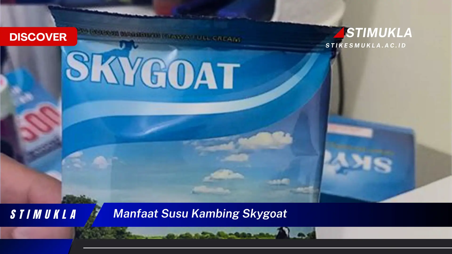 manfaat susu kambing skygoat