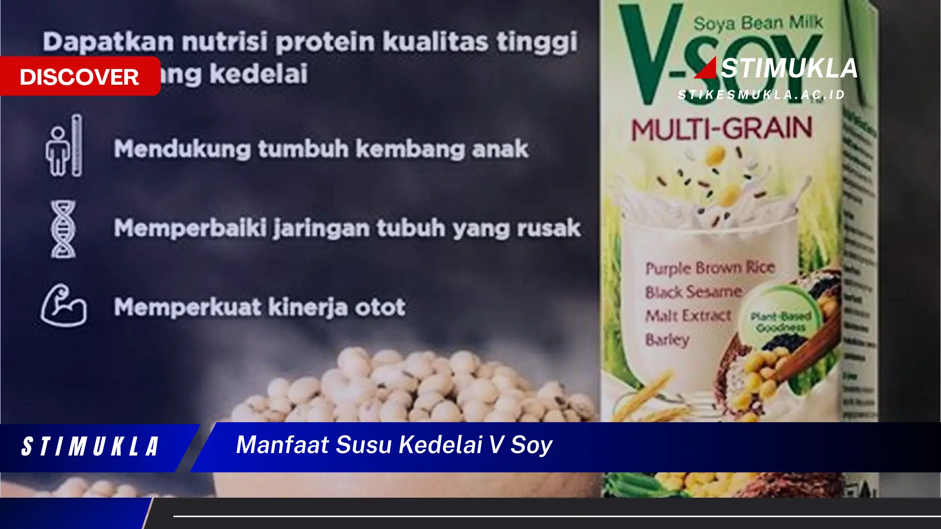 manfaat susu kedelai v soy