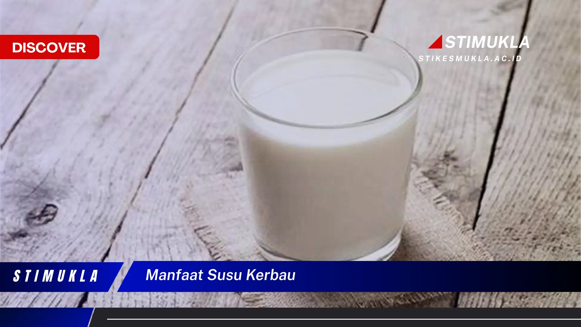 manfaat susu kerbau