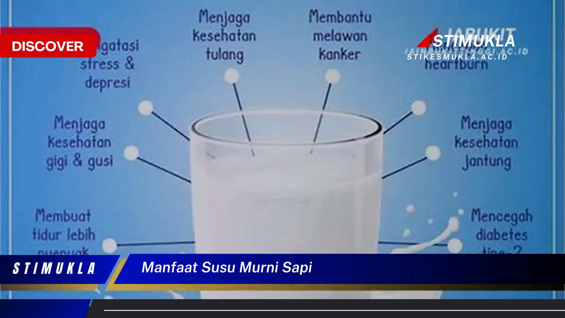 manfaat susu murni sapi