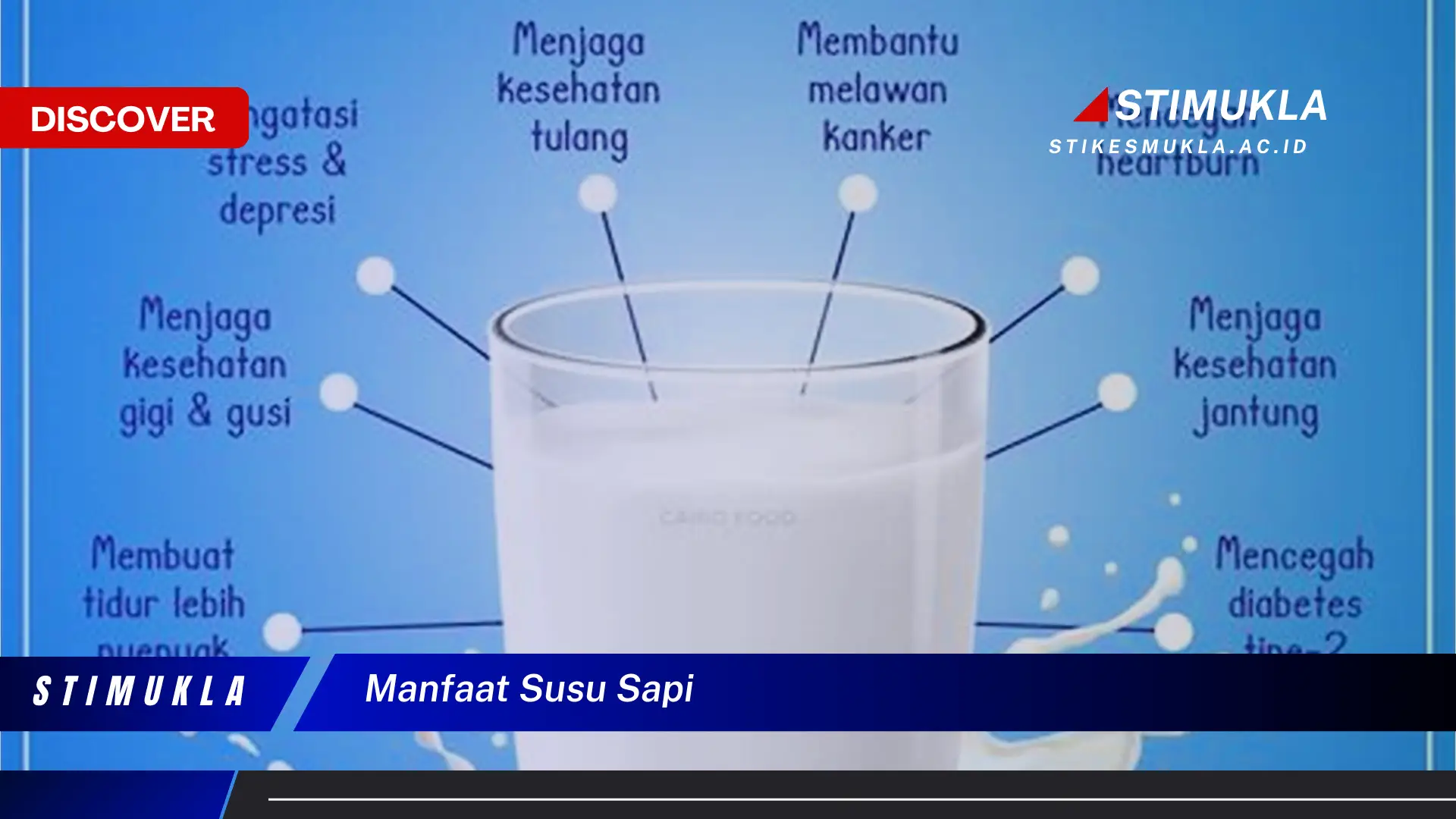 manfaat susu sapi manfaat susu sapi