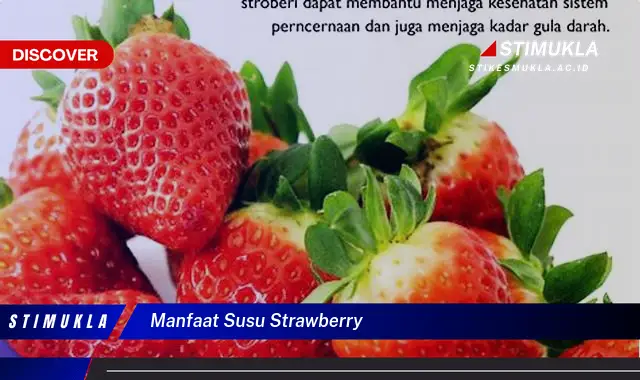 manfaat susu strawberry