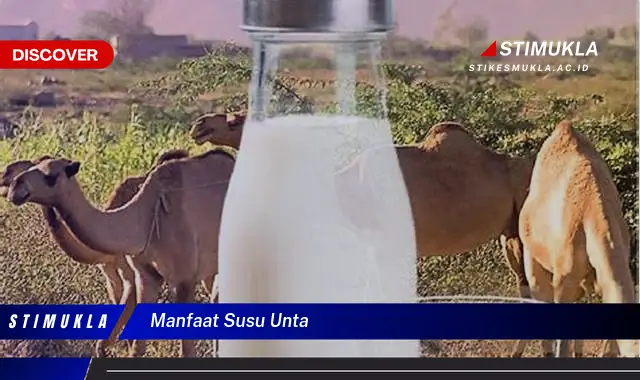 manfaat susu unta