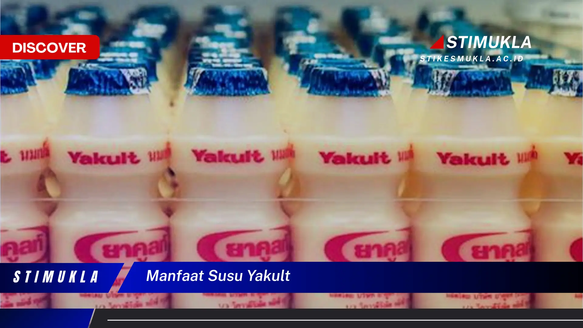 manfaat susu yakult