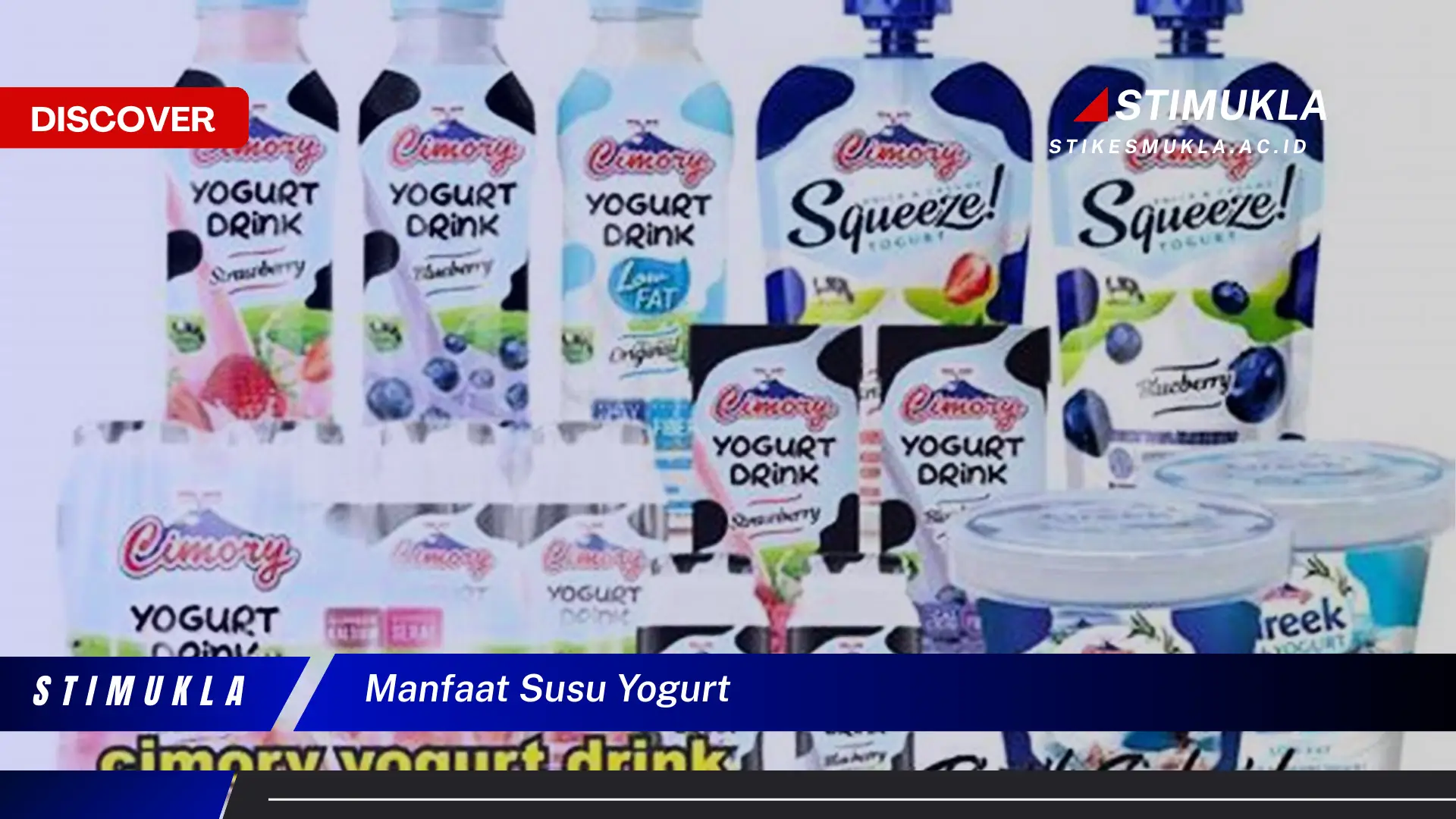 manfaat susu yogurt