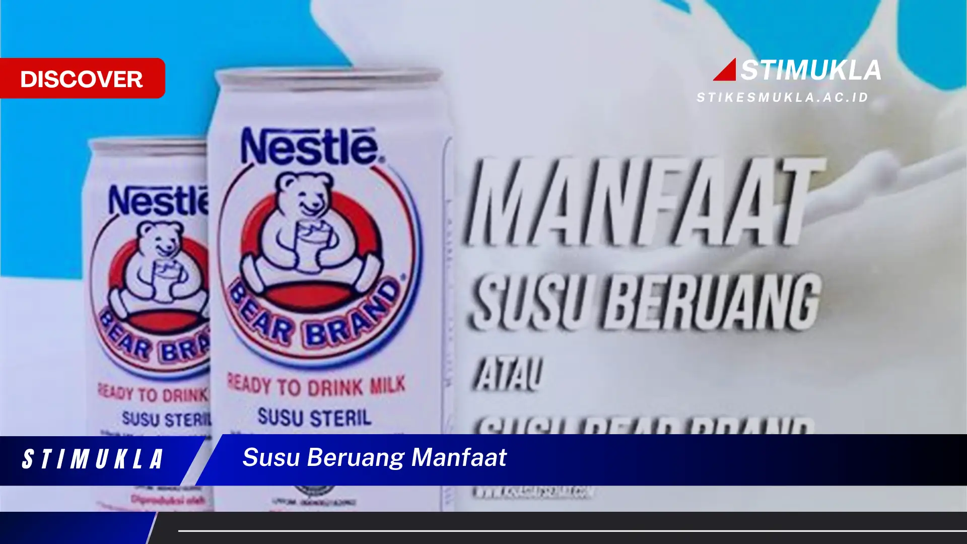 susu beruang manfaat