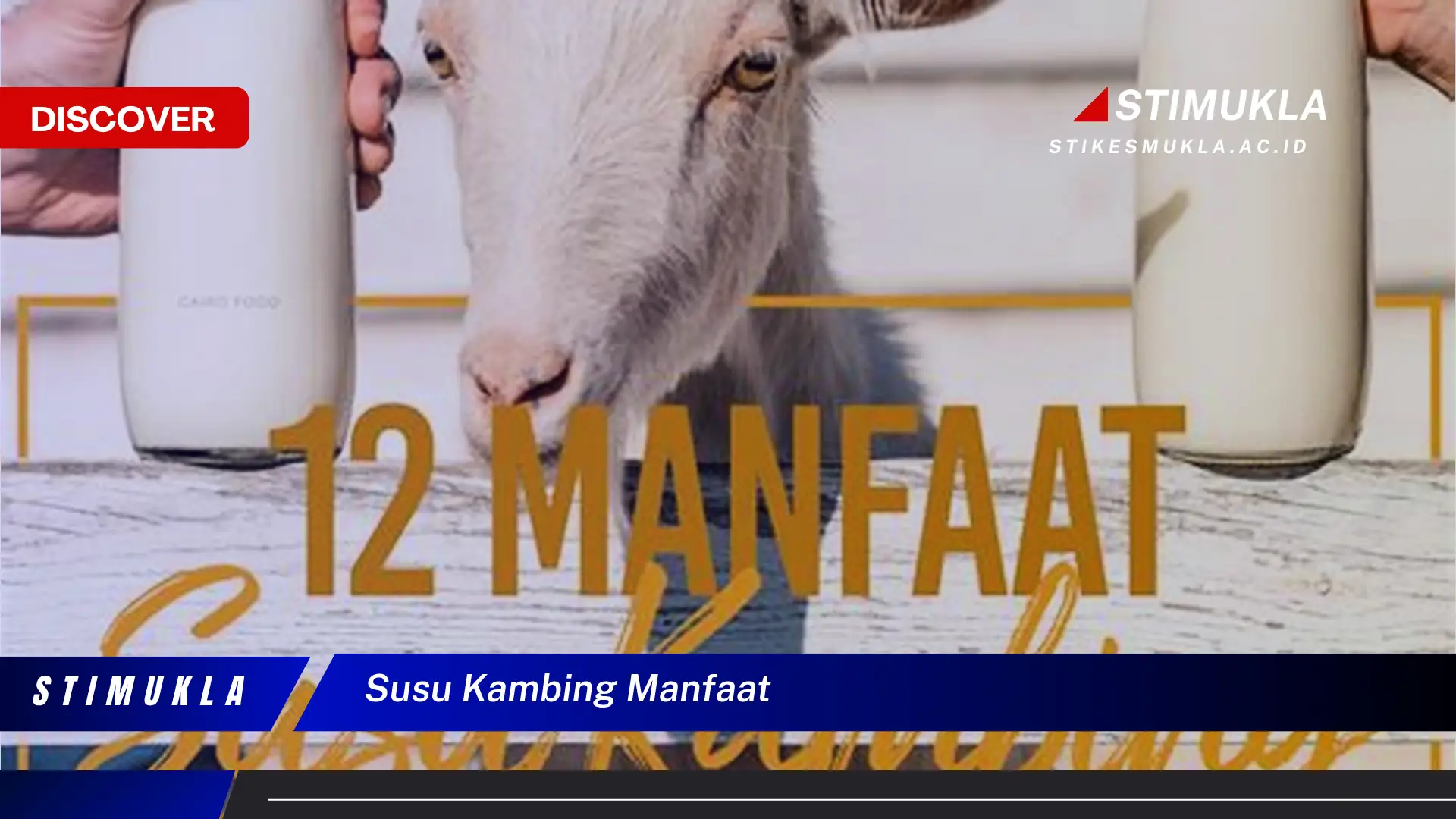 susu kambing manfaat