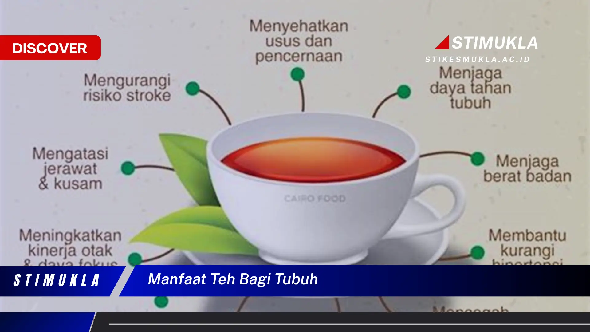 manfaat teh bagi tubuh