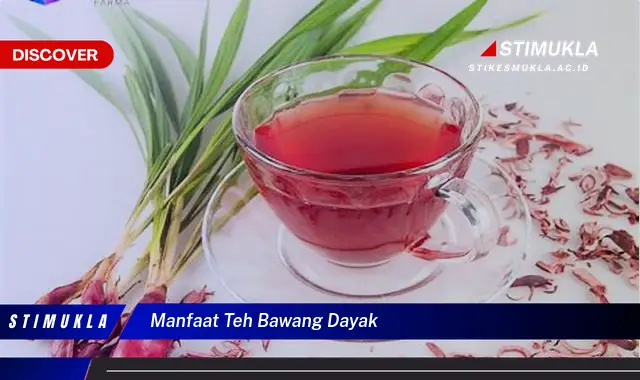 manfaat teh bawang dayak