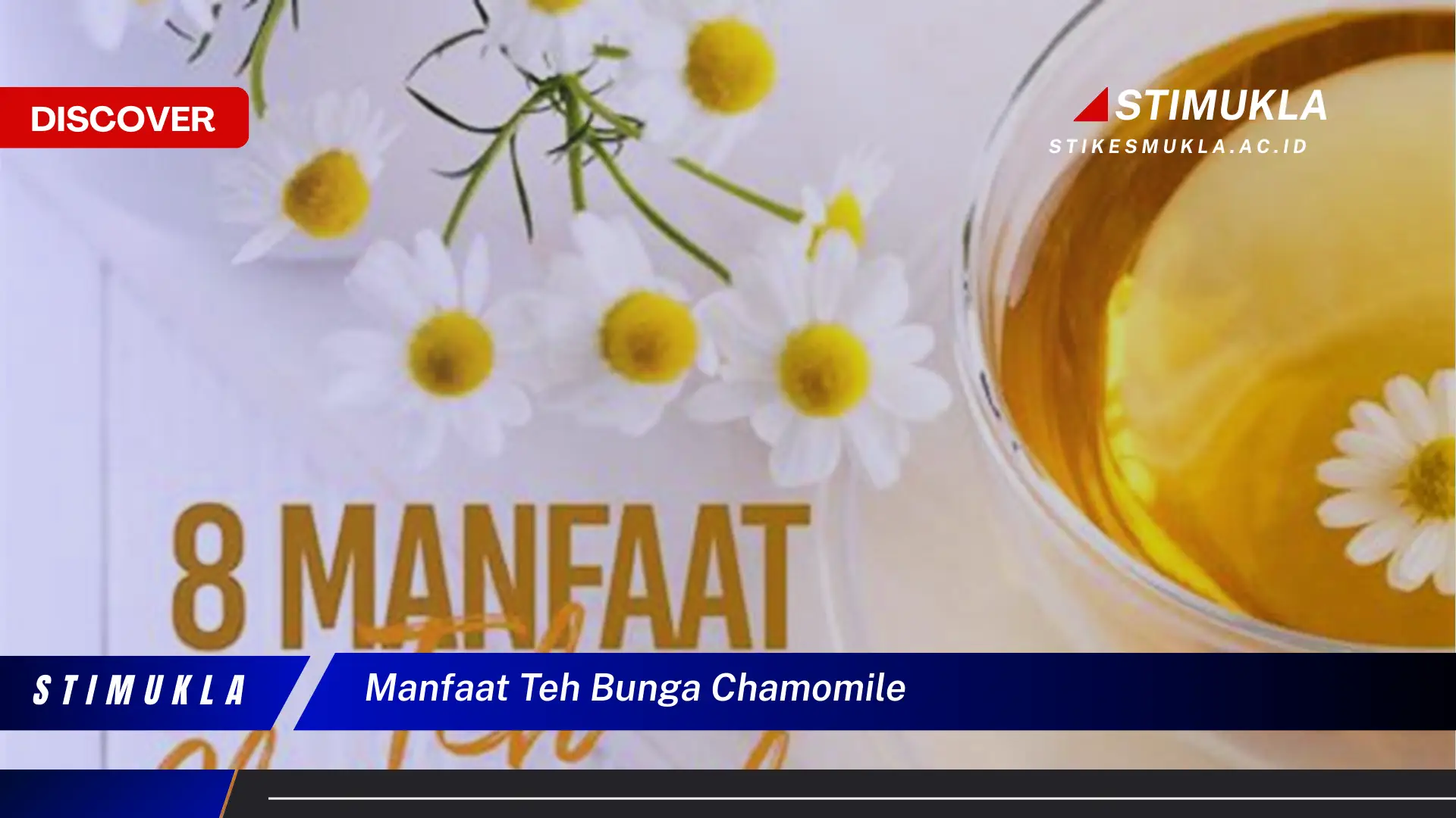 manfaat teh bunga chamomile