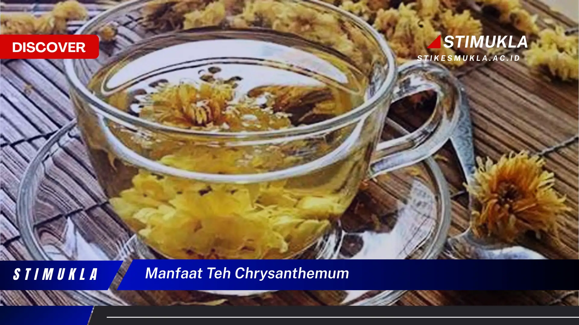 manfaat teh chrysanthemum