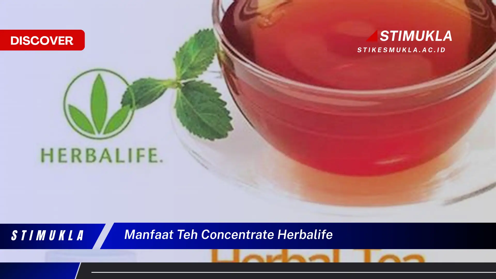 manfaat teh concentrate herbalife