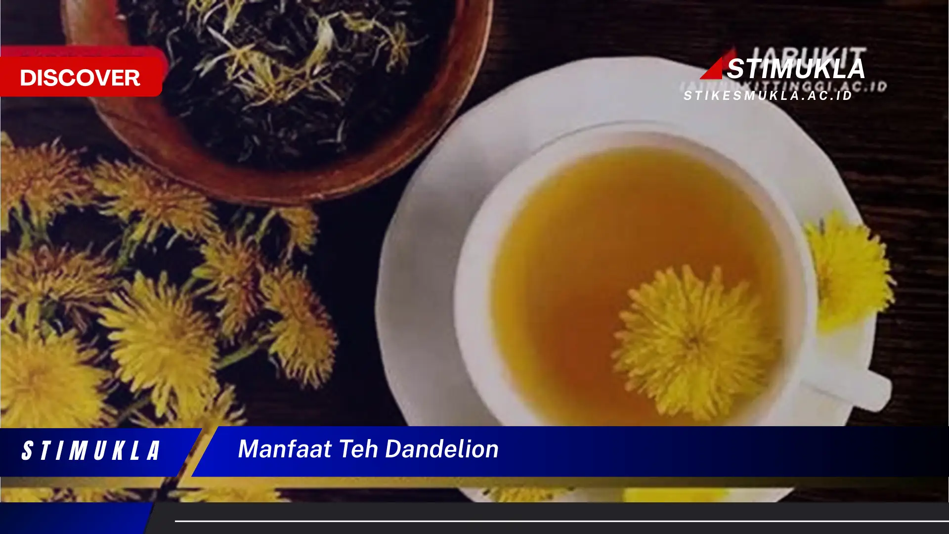 manfaat teh dandelion