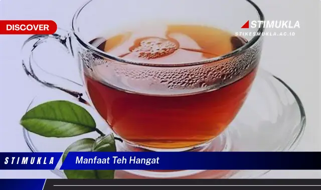 manfaat teh hangat