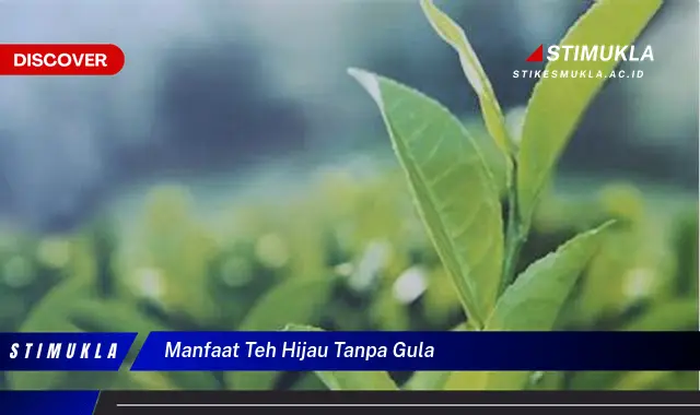 manfaat teh hijau tanpa gula