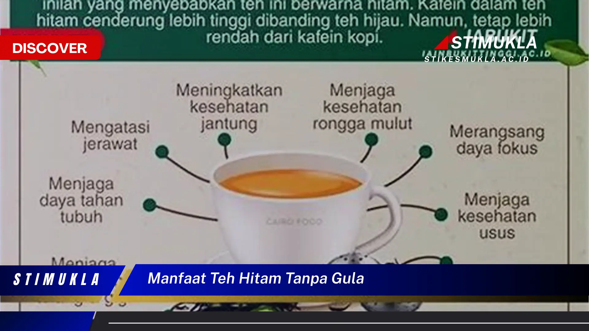 manfaat teh hitam tanpa gula