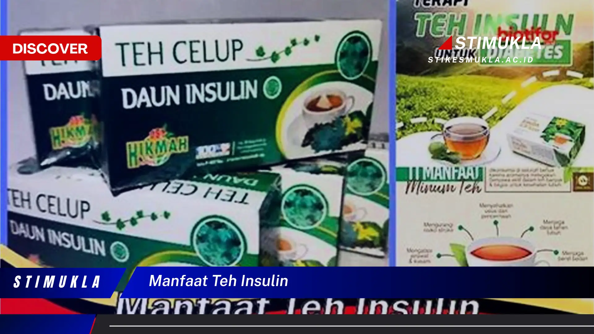 manfaat teh insulin