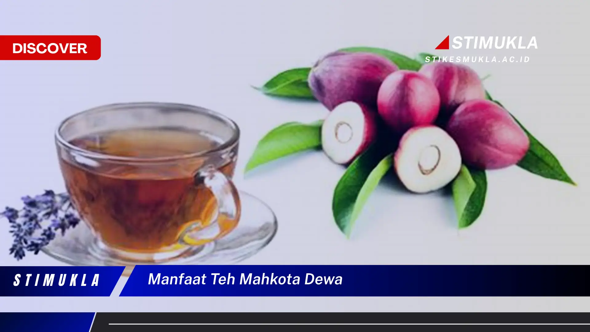 manfaat teh mahkota dewa