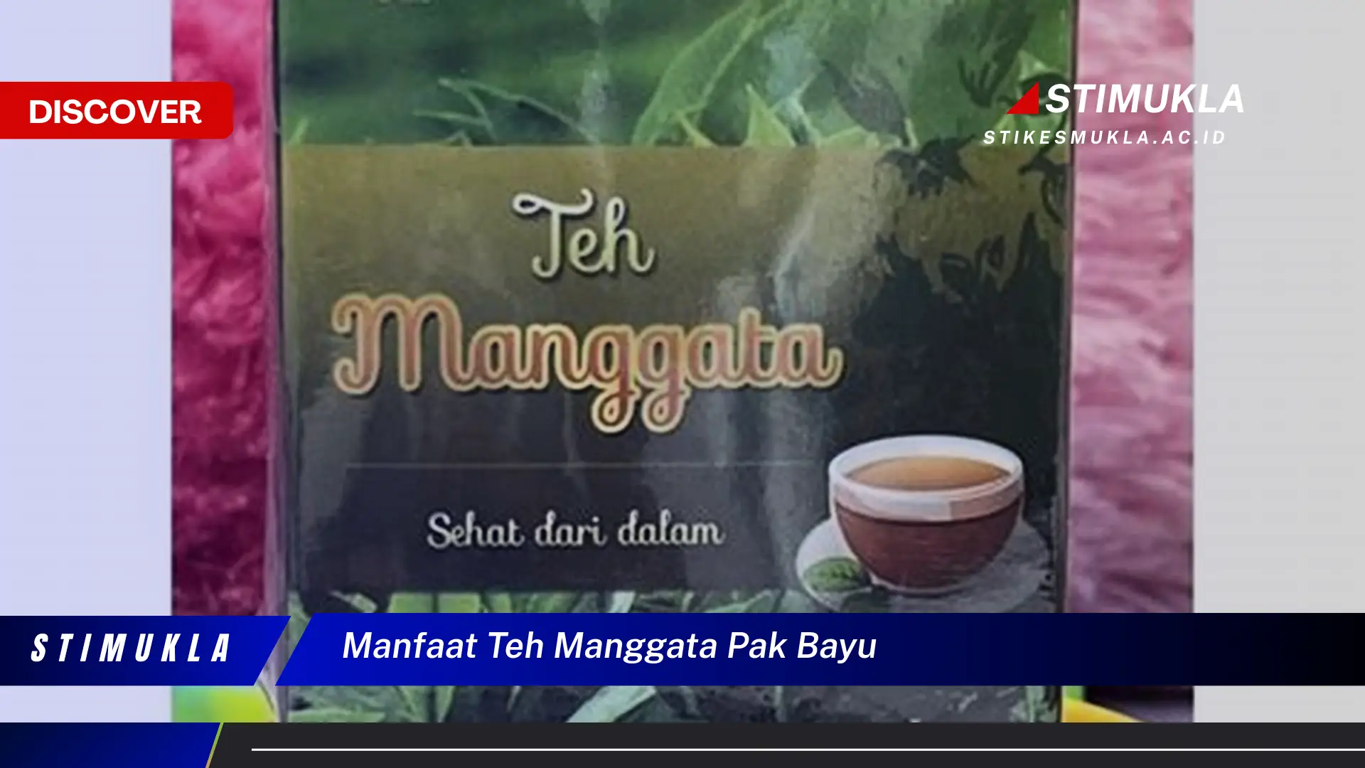 manfaat teh manggata pak bayu