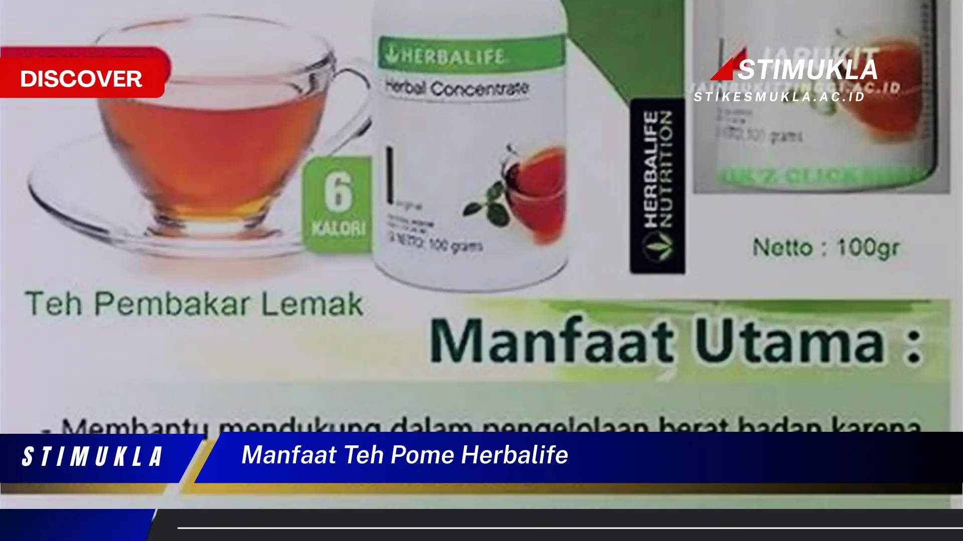 manfaat teh pome herbalife