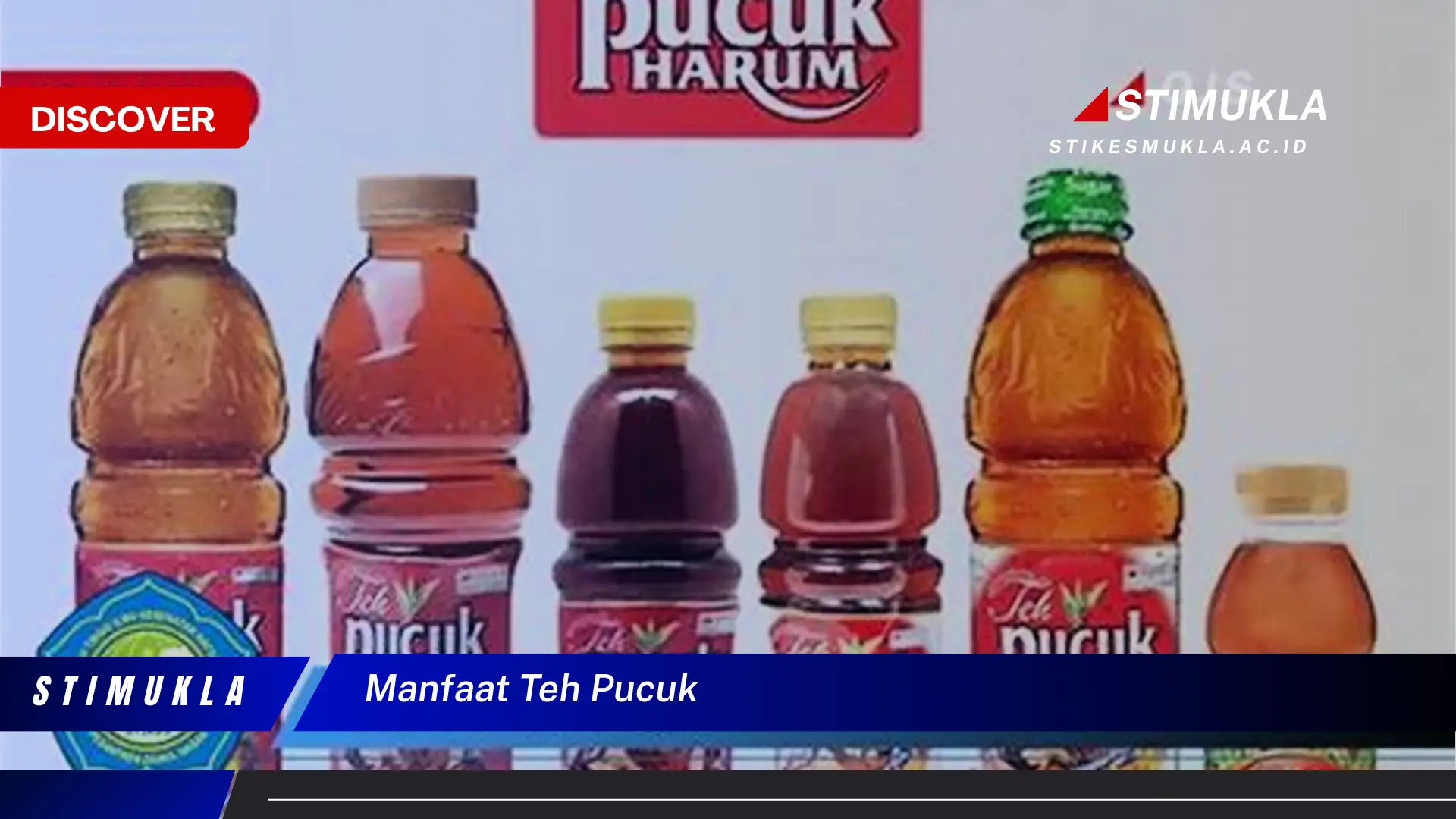 manfaat teh pucuk