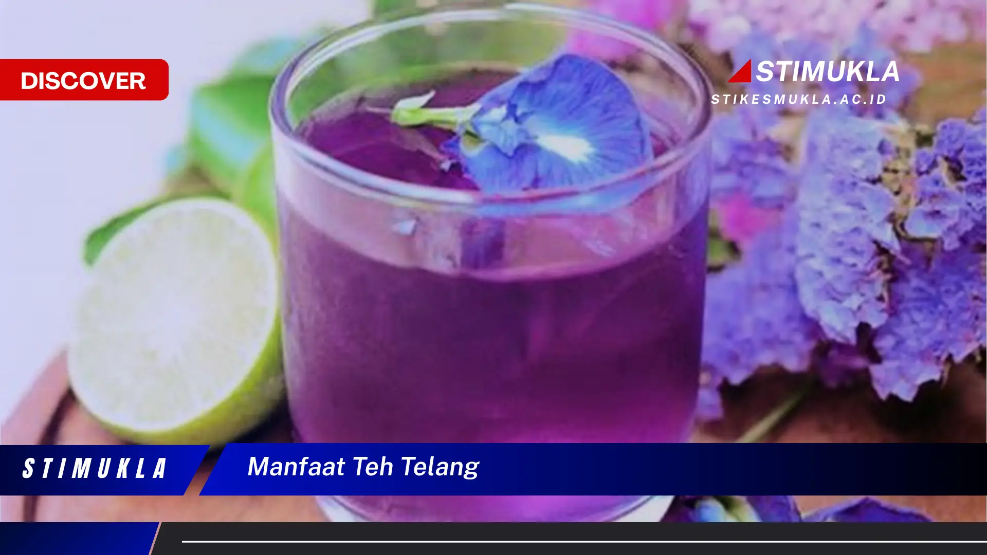 manfaat teh telang