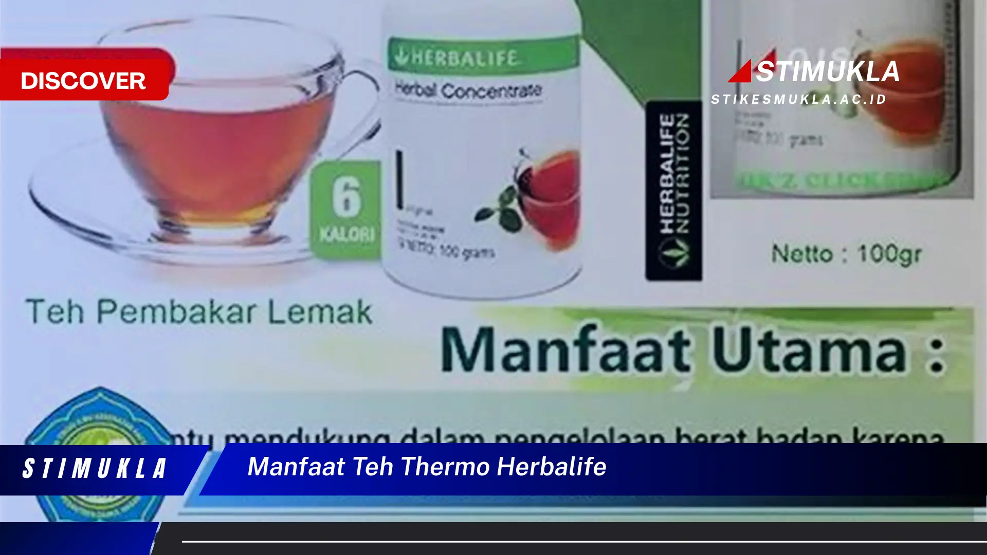 manfaat teh thermo herbalife