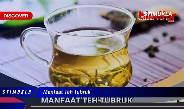 manfaat teh tubruk