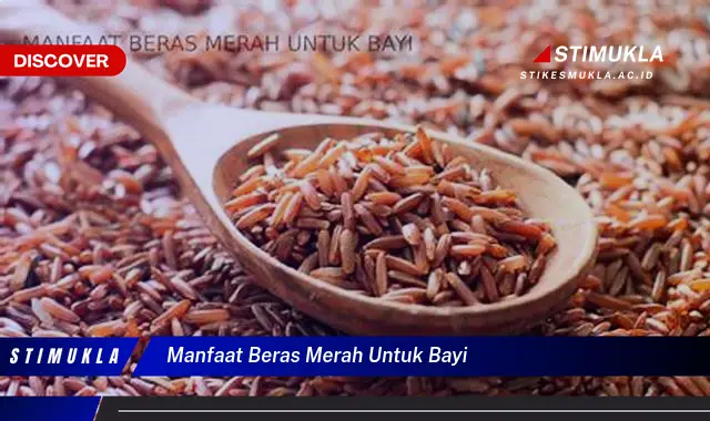 manfaat beras merah untuk bayi