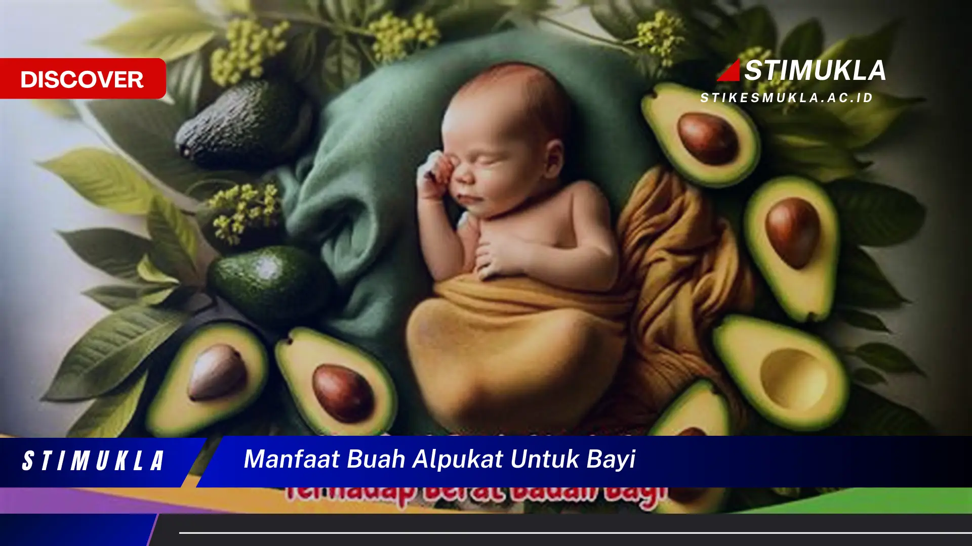 manfaat buah alpukat untuk bayi
