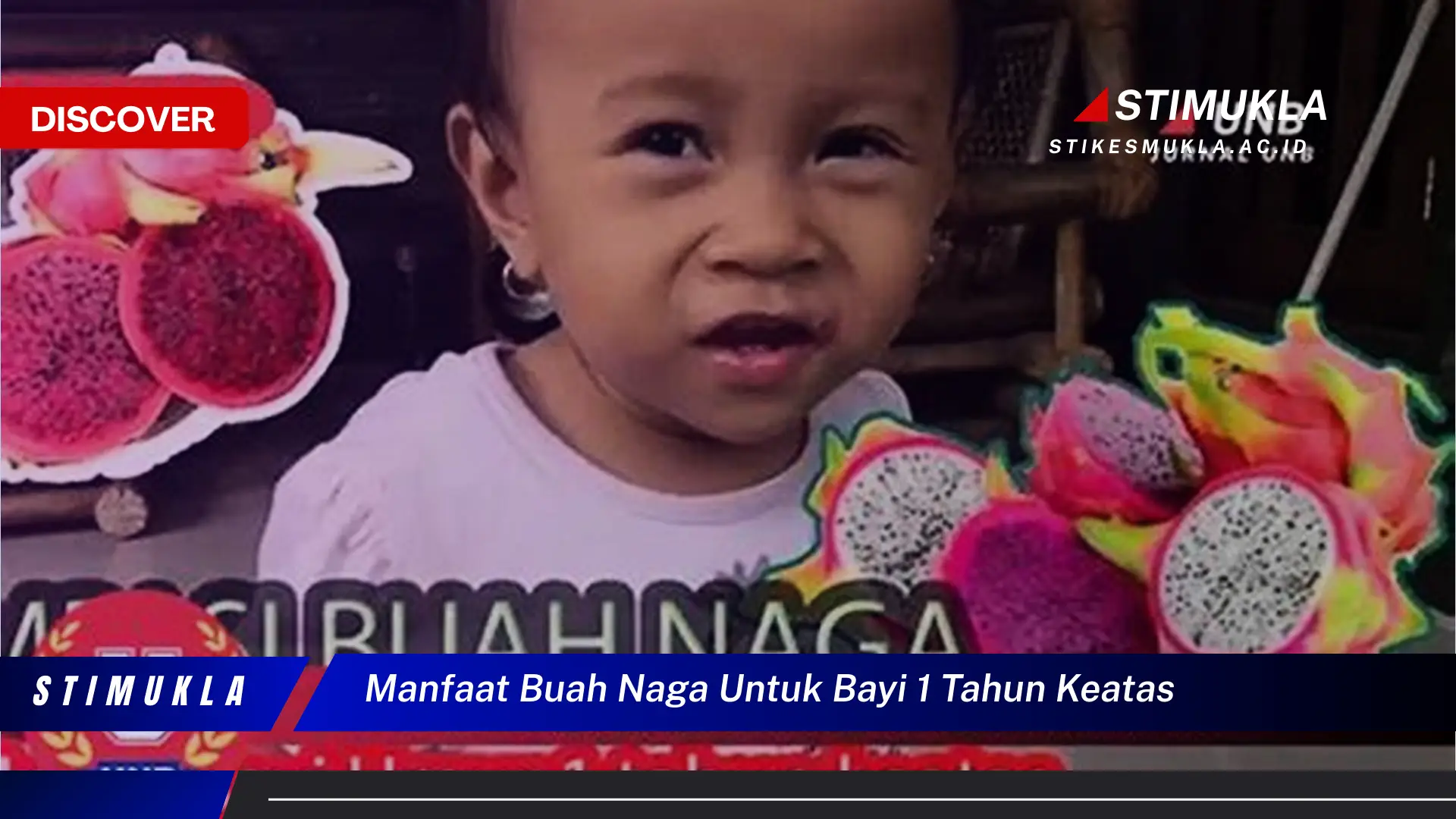 manfaat buah naga untuk bayi 1 tahun keatas