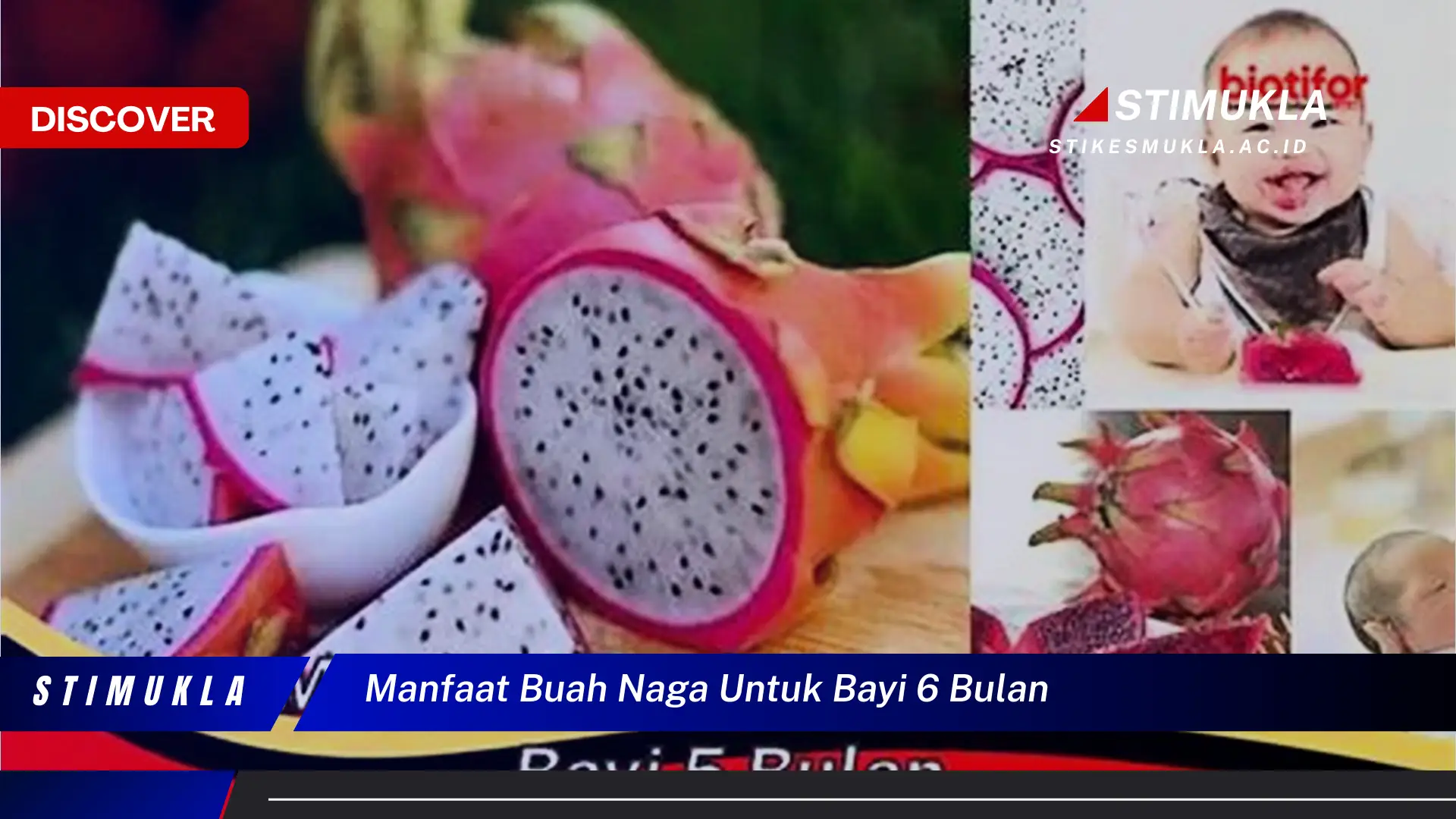 manfaat buah naga untuk bayi 6 bulan