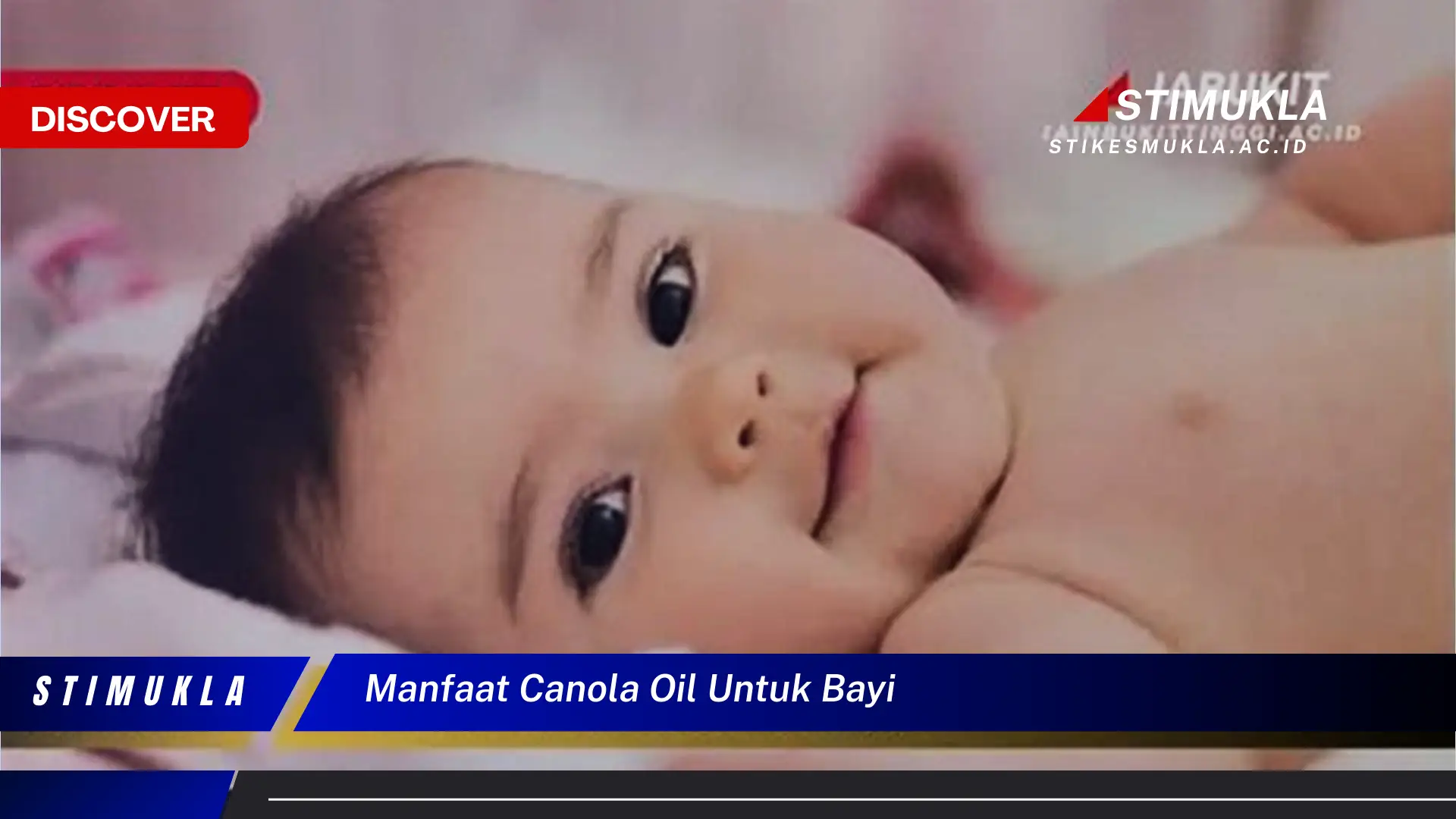 manfaat canola oil untuk bayi