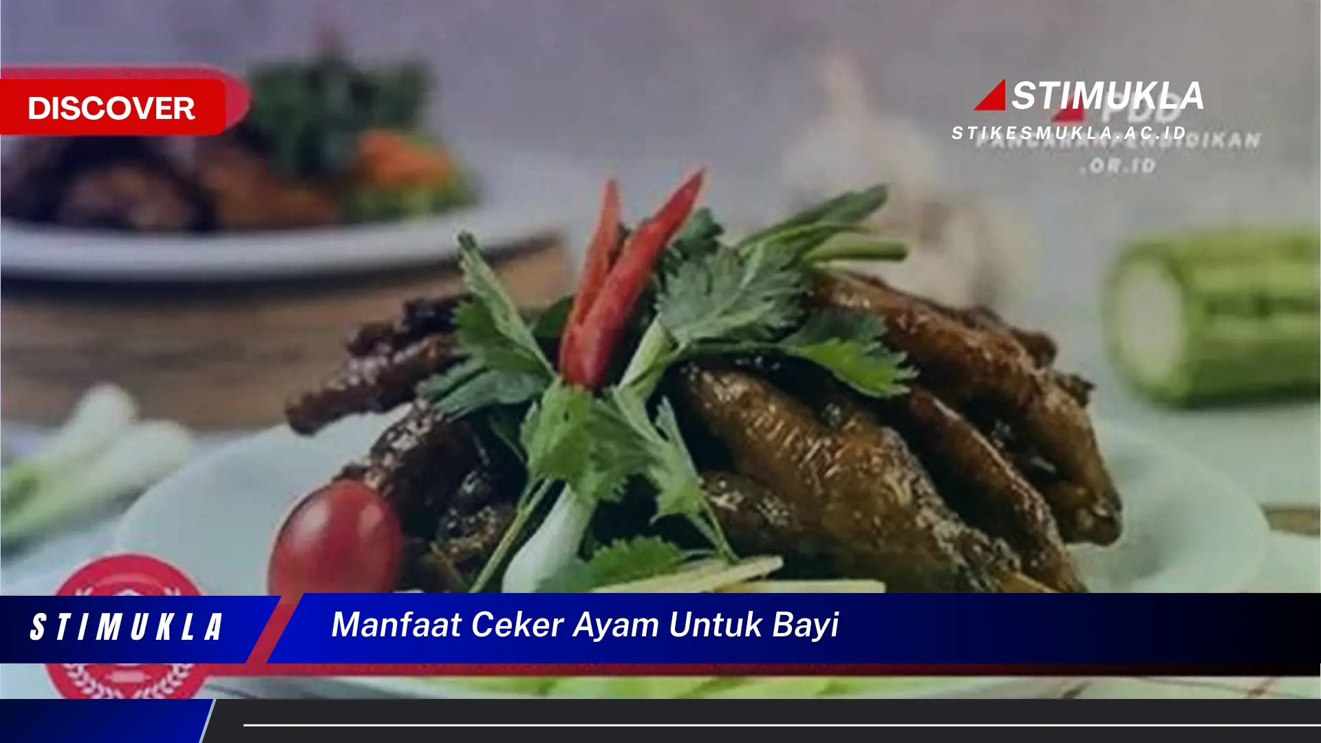 manfaat ceker ayam untuk bayi