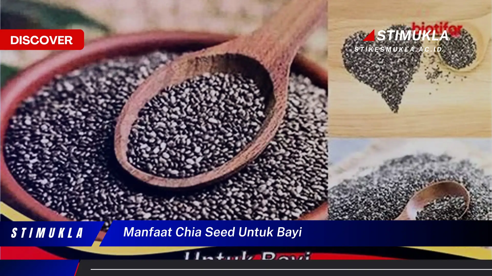 manfaat chia seed untuk bayi