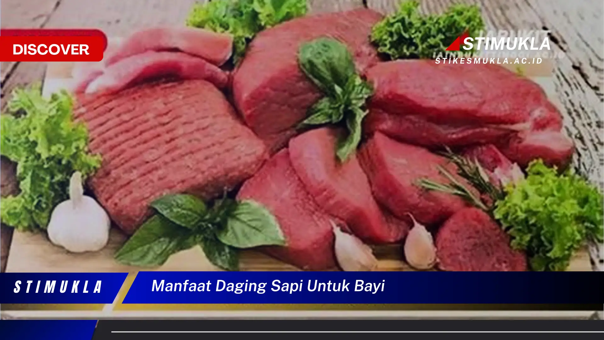 manfaat daging sapi untuk bayi manfaat daging sapi untuk bayi